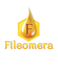 Fileomera logo